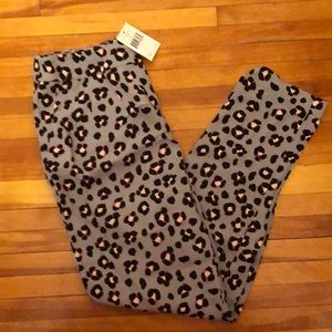 Kate Spade cheetah print pants - new with tags